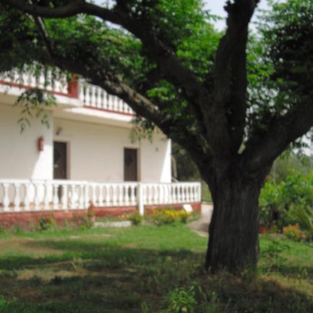 Corfu Country House วิตาลาเดส ห้อง รูปภาพ