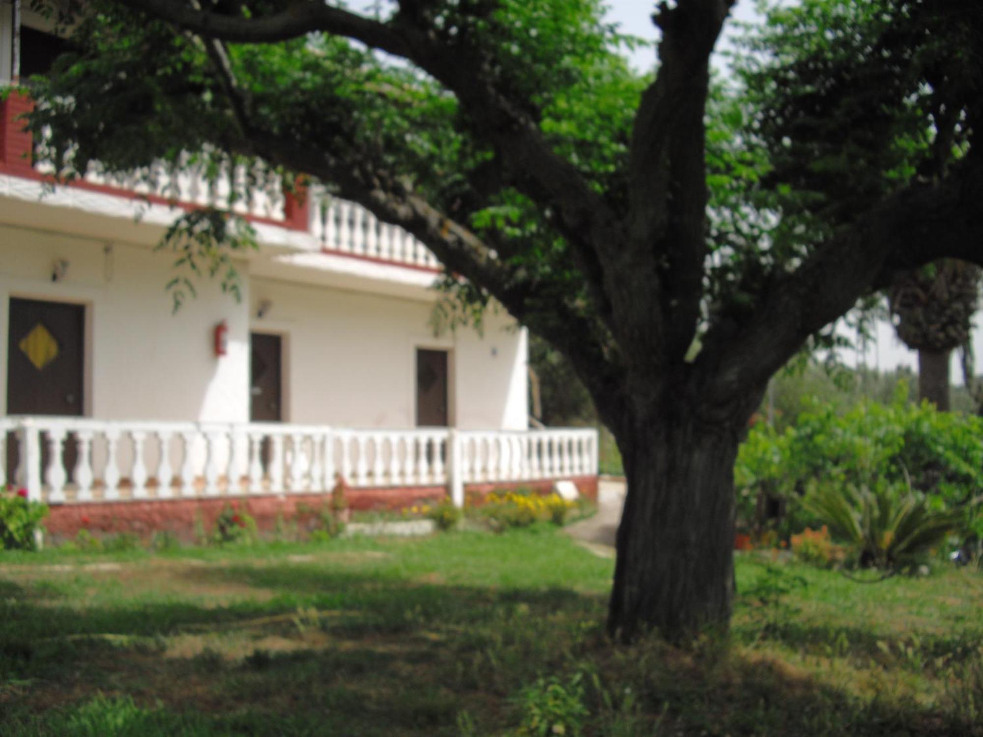Corfu Country House วิตาลาเดส ห้อง รูปภาพ